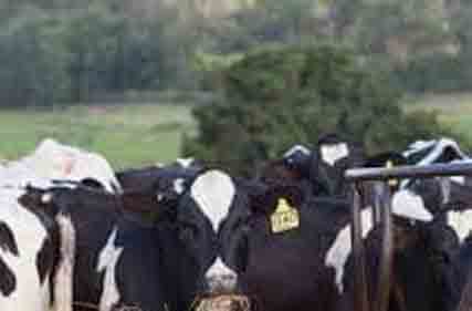 Holstein-proof