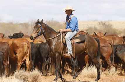 Make Australia the destination of choice for rural workers