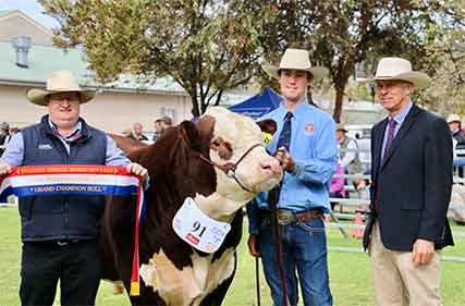 Hereford-National-show-2022