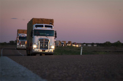 Live updates on all roads in NSW available from October