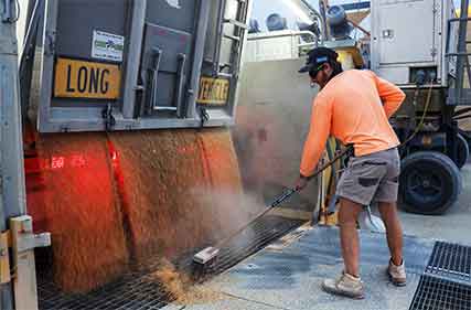 Grain exporters concerned over lack of transparency at ports