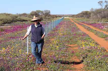 Dowden explores human element of wild dog management
