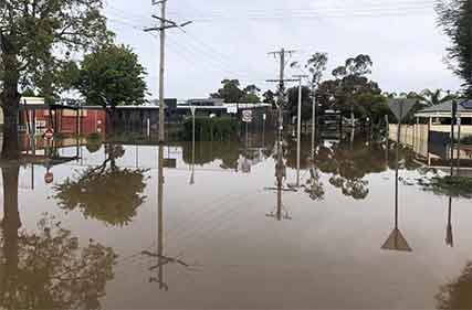 Timber shortages hamper efforts to rebuild flood affected areas