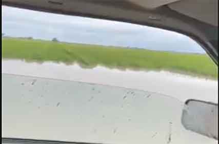 Gross value of agricultural production set to be $85 billion despite floods