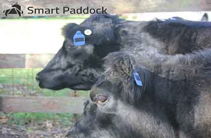 Sensing soil carbon, tag tracking technology and efficient supplements