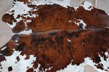 Hide, skin and leather exporters to accelerate trade expansion with funding