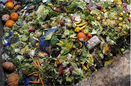 Food waste equal to 320kg per person every year in Australia