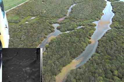 Learnings from using thermal imagery for pest vertebrate surveys