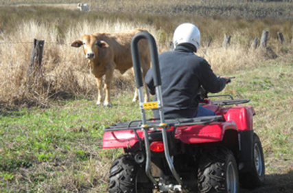 Surveillance program finds 94 per cent of quad bikes compliant with safety standards