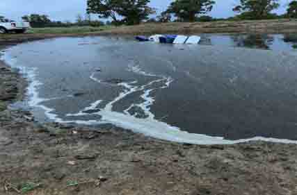 Isolate livestock water supplies if blue green algal bloom appears