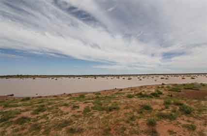 Tibooburra station of 68,000 ha sells for over $2 million to local buyer