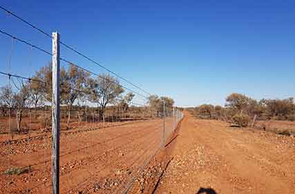 Predator management tools boosts landholder confidence to reinvest