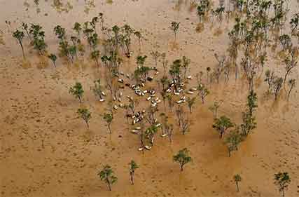 Support package of up to $12 million for flood-impacted producers in Queensland