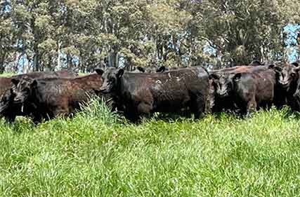 Climate smart agriculture package to deliver on-ground sustainable works