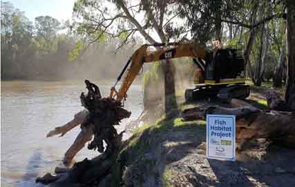 OzFish help rejuvenate Bethungra Dam with habitat for native fish