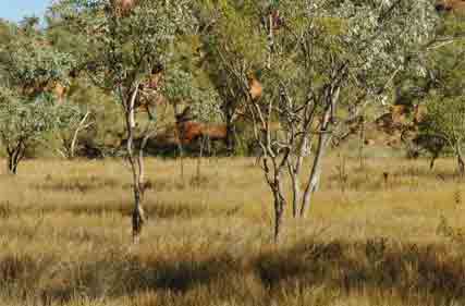 Field day to find out what natural capital means to you and your farm business