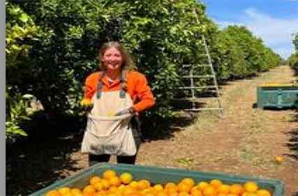 Rural businesses need certainty to engage staff during fluctuating demands