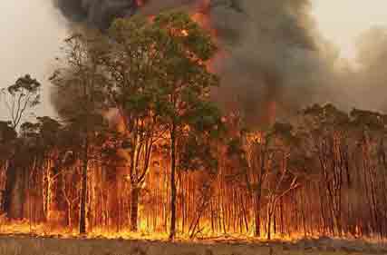 Prepare now for dangerous bushfire season approaching
