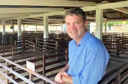 Livestock markets compounded by meat volumes in congested supply chains
