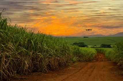 Survey to build a snapshot of use and benefits of drones in agriculture