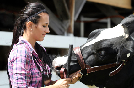 Proportion of young people and women on the rise in agricultural jobs