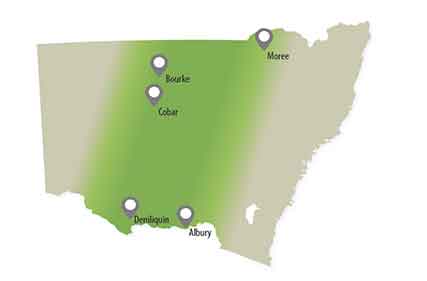 NSW livestock producers reminded to vaccinate cattle and sheep against anthrax