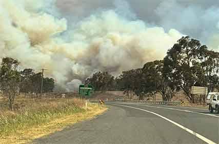 Natural disaster fund activated to raise donations for bushfire affected farmers