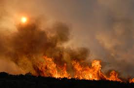 Tips for preparing your home for potential bush fire this summer