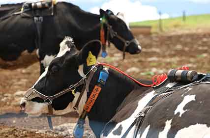 Share your view on ag sector’s contribution to government’s Net Zero 2050 plan
