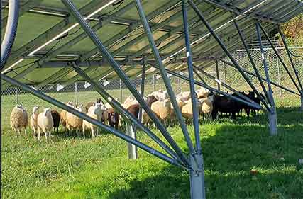 Government urged to invest in local energy hubs on farms