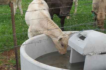 New review into stock and domestic water rights on NSW farms underway