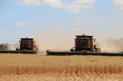 Harvesting operations targeted by health and safety inspectors