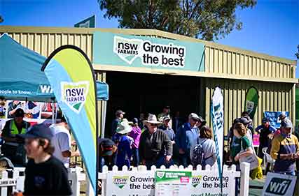 Annabel Johnson appointed new CEO of NSW Farmers