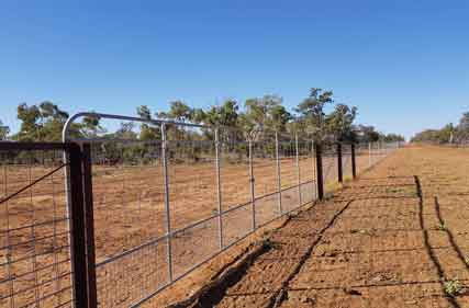 More control over grazing pressure with exclusion fencing in western NSW