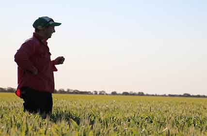 Programs for equipping senior farmers with business management thinking