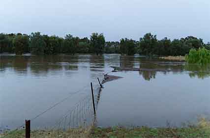 Provide adequate shelter for livestock during severe weather