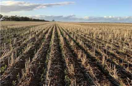 Aussie farmers are becoming climate change innovators