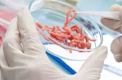 Research and development funding for agriculture amounts to $2.32 billion