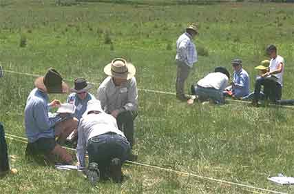 Field days to share practice and implementation around holistic management