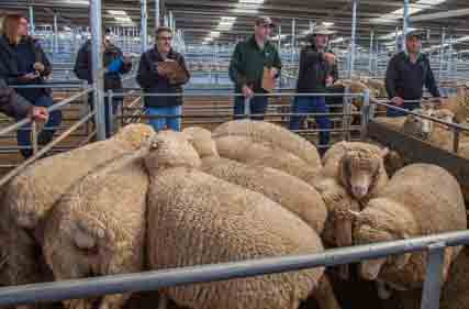 National farmer confidence bounces back into positive territory