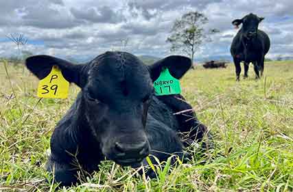Agri-biotech company announces second close of capital raise